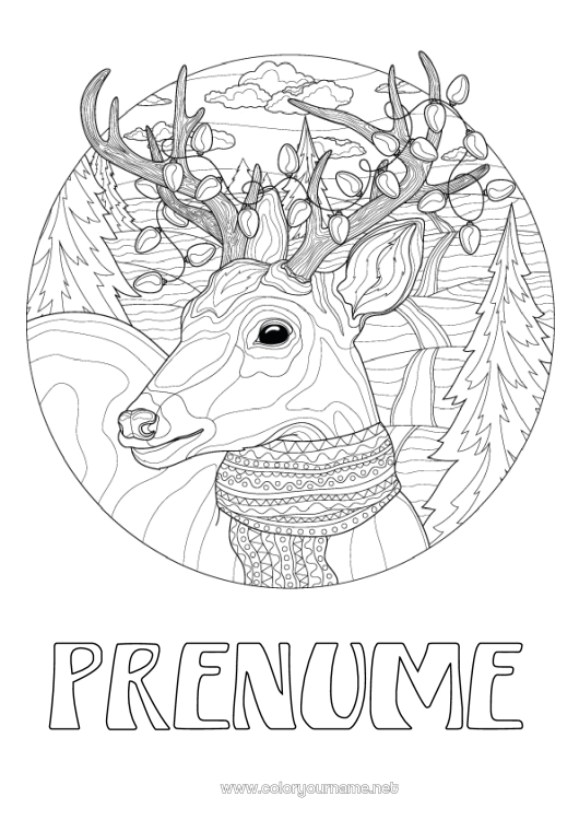 Pagină de colorat de imprimat Iarna Animal Animale din pădure Cerb Fular
