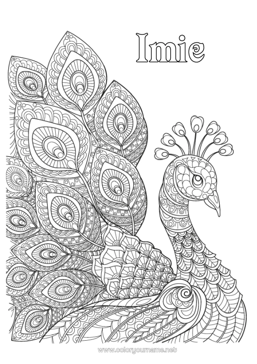 Kolorowanka do wydruku Zwierzę Paw Złożone kolorowanki Zentangle Ptaki i latające ssaki