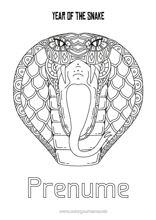 Pagină de colorat de imprimat La mulți ani! Anul Nou Chinezesc Șarpe Reptile 2025