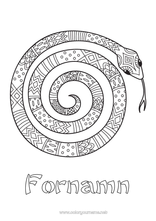 Färgläggningssida att skriva ut Djur Orm Mellannivå färgläggningar Zentangle Reptiler