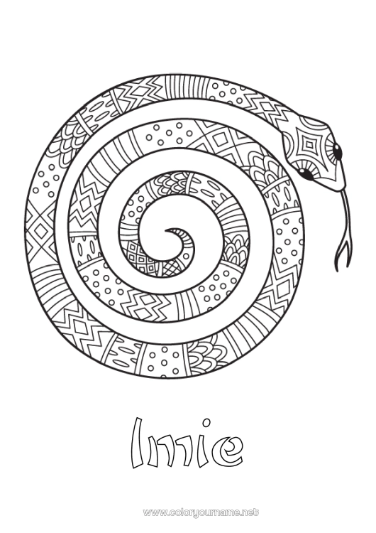 Kolorowanka do wydruku Zwierzę Wąż Kolorowanki pośrednie Zentangle Gady