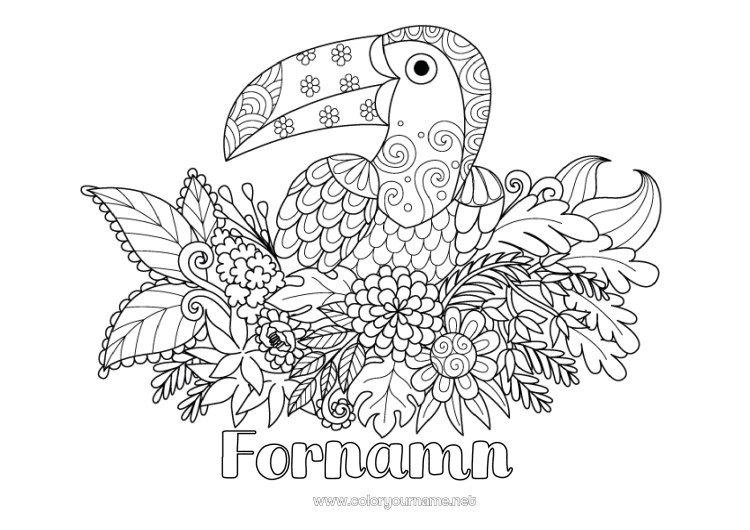 Färgläggningssida att skriva ut Blommor Djur Tukan Zentangle Fåglar och flygande däggdjur