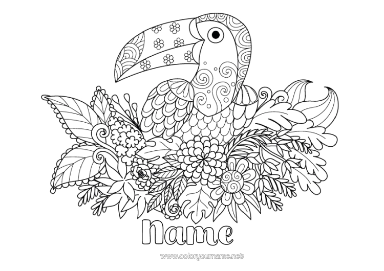 Colouring page to print Flowers Animal Toucan Zentangle Birds And Flying Mammals