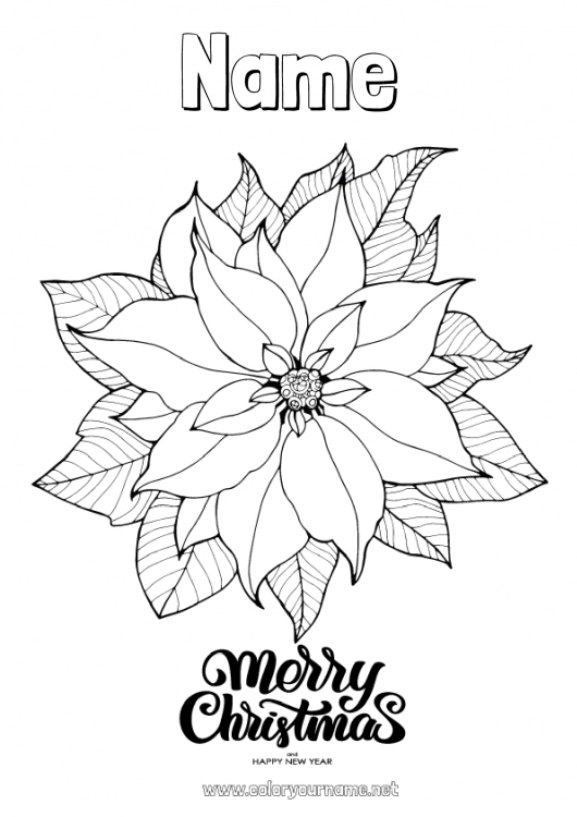 Coloring page to print Christmas Happy new year Poinsettia Poinsettia 