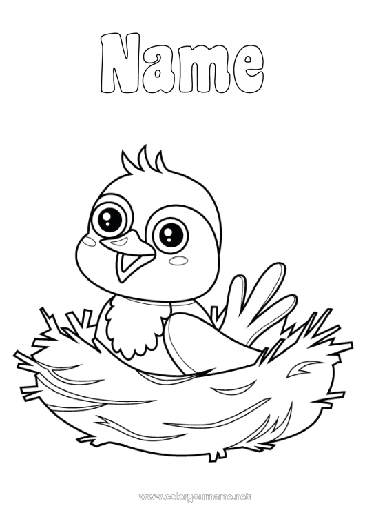 Colouring page to print Bird Animal Birds And Flying Mammals Bird's Nest