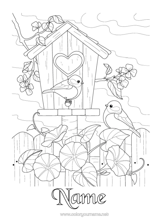 Colouring page to print Bird Animal Birds And Flying Mammals Birdhouse Great Tit