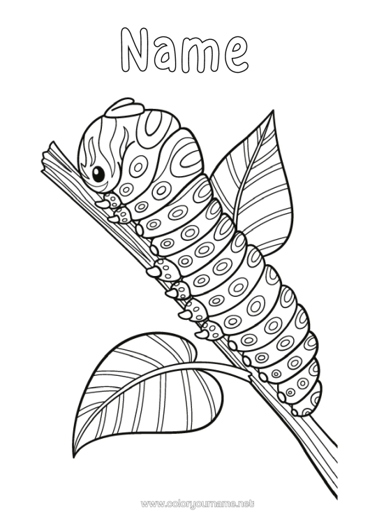 Colouring page to print Animal Zentangle Insects Caterpillar