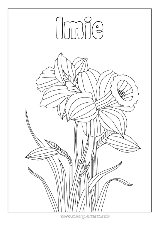 Kolorowanka do wydruku Kwiaty Żonkile Zentangle