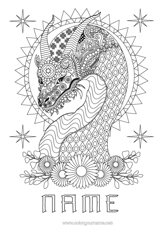 Colouring page to print Flowers Dragon Animal Complex Colouring Pages Zentangle Dragons, Unicorns, And Fantastical Creatures