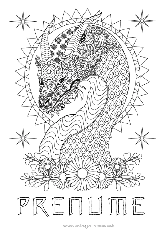 Pagină de colorat de imprimat Flori Dragon Animal Desene de colorat complexe Zentangle Dragoni, unicorni și animale fantastice