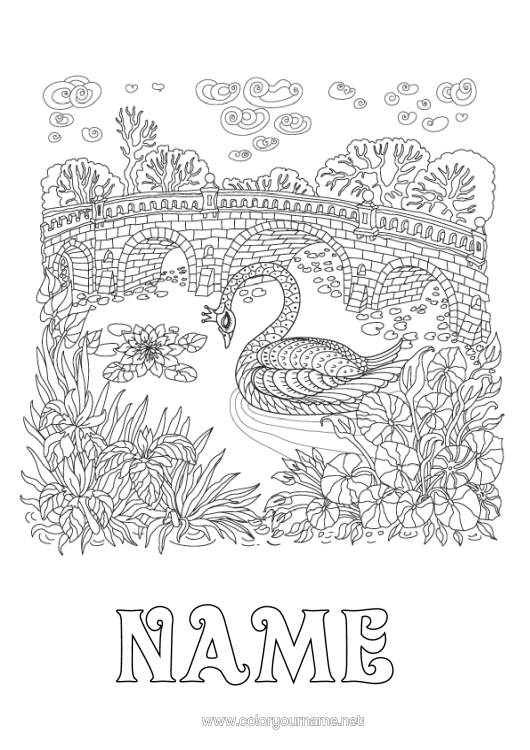 Colouring page to print Animal Swan Complex Colouring Pages Zentangle Birds And Flying Mammals Bridge