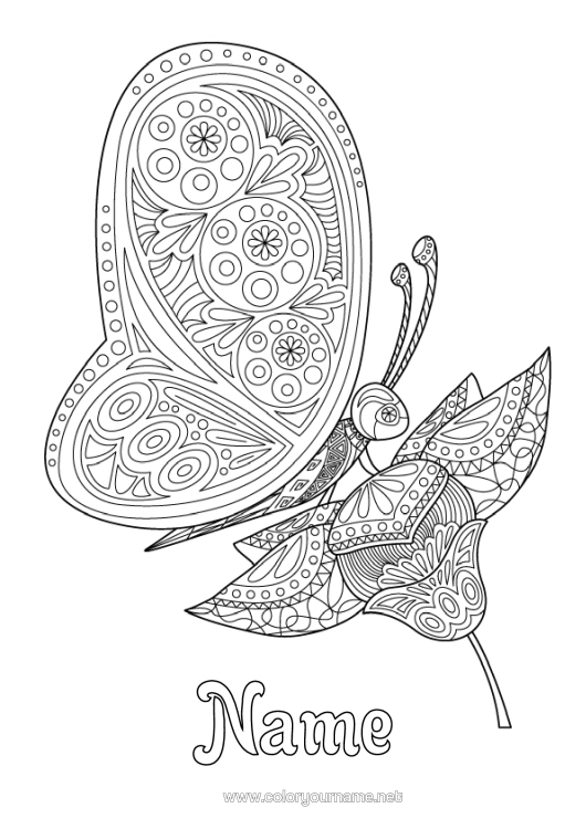 Colouring page to print Butterfly Animal Complex Colouring Pages Zentangle Insects
