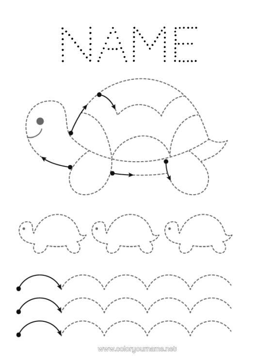 Colouring page to print Tortoise Children's Activities Animal Trace And Colour. Marine Or Aquatic Animals Reptiles Tortoise Nursery Graphic Sheet