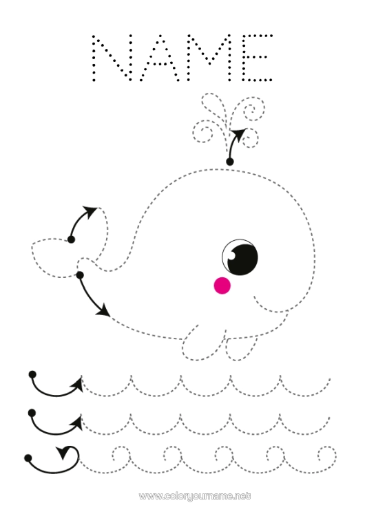 Colouring page to print Whale Children's Activities Animal Easy Colouring Pages Trace And Colour. Marine Or Aquatic Animals Nursery Graphic Sheet