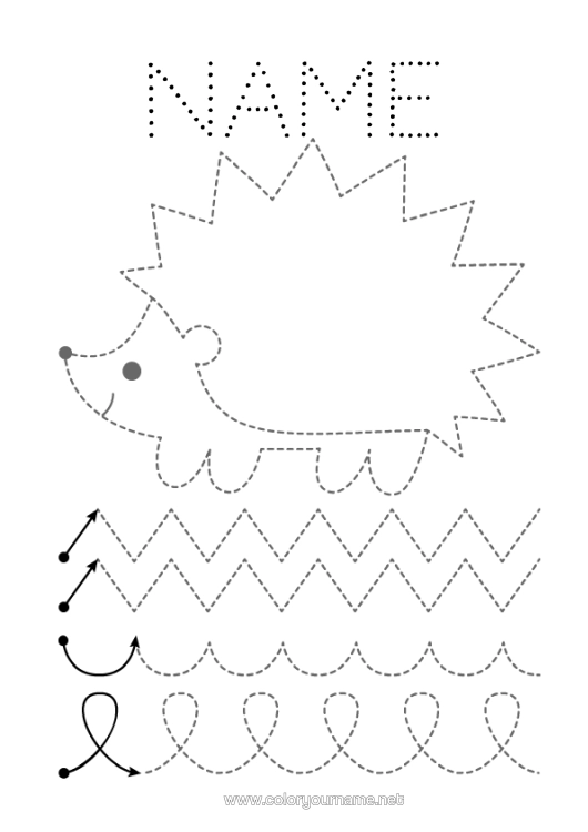 Colouring page to print Hedgehog Autumn Children's Activities Animal Trace And Colour. Forest Animals Nursery Graphic Sheet