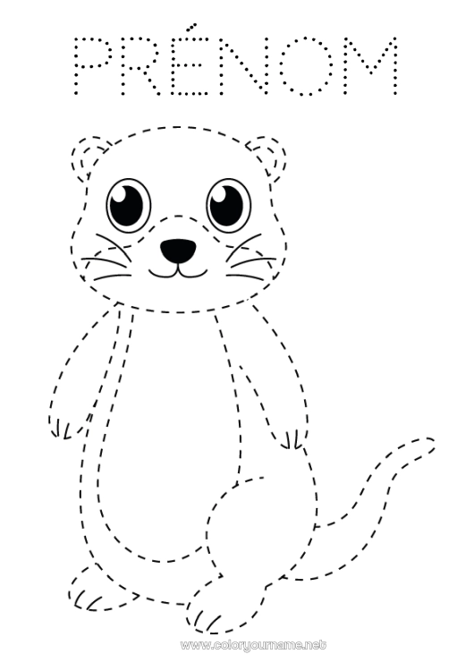 Coloriage à imprimer Animal Coloriages faciles Trace et colorie Animaux marins ou aquatique Loutre