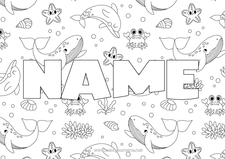 Coloring page to print Whale Sea Animal Crab Sea Shell Starfish Marine or aquatic animals Decorative background