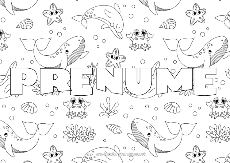 Pagină de colorat de imprimat Balena Mare Animal Crab Scoici Stea de mare Animale marine sau acvatice Fundal decorativ