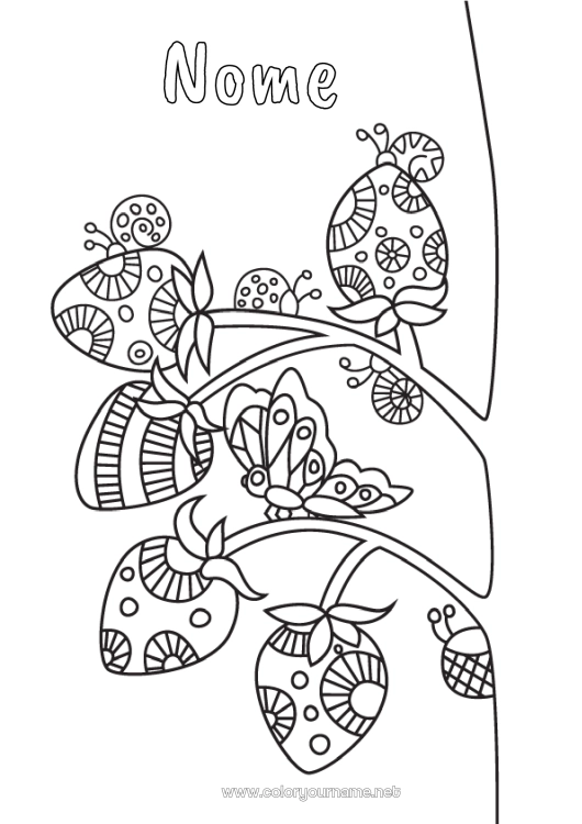 Pagina da colorare da stampare Animale Chiocciola Coccinella Frutta Fragola Zentangle Insetti