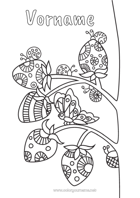 Malvorlage zum Ausdrucken Tier Schnecke Marienkäfer Früchte Erdbeere Zentangle Insekten