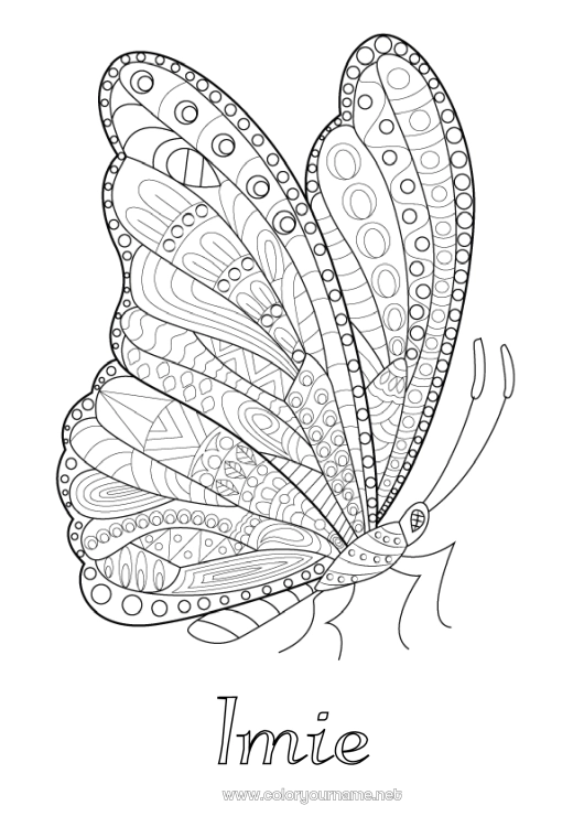 Kolorowanka do wydruku Motyl Zwierzę Złożone kolorowanki Zentangle Owady