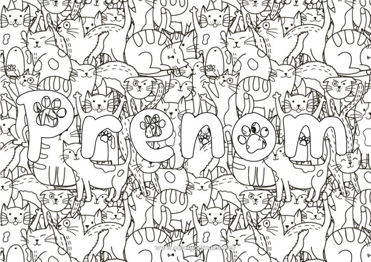 Coloriage à imprimer Chat Animal Nom décoré Doodle Coloriages complexes Chiens et chats Fond décoratif