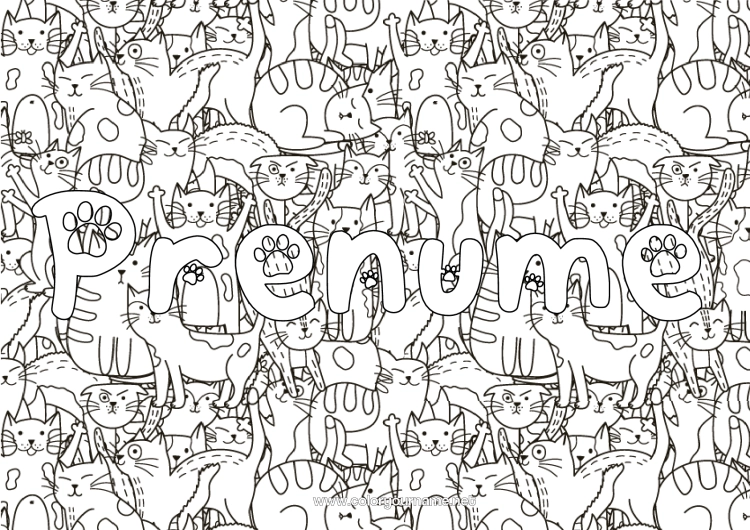 Pagină de colorat de imprimat Pisică Animal Nume decorat Doodle Desene de colorat complexe Câini și pisici Fundal decorativ