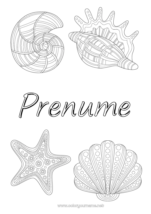 Pagină de colorat de imprimat Animal Scoici Zentangle Stea de mare Animale marine sau acvatice