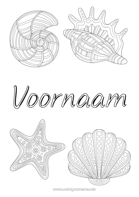 Kleurplaat om af te drukken Dier Schelpen Zentangle Zeester Zeedieren