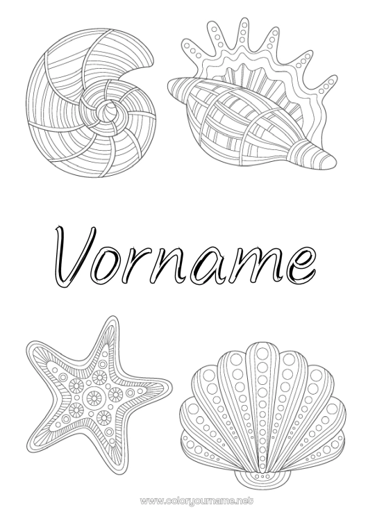 Malvorlage zum Ausdrucken Tier Muscheln Zentangle Seestern Meeres- oder Wasserlebewesen