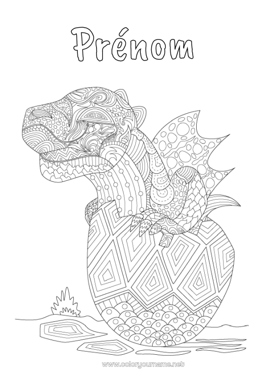 Coloriage à imprimer Dragon Animal Coloriages complexes Zentangle Dragons, licornes et animaux fantastiques Oeuf