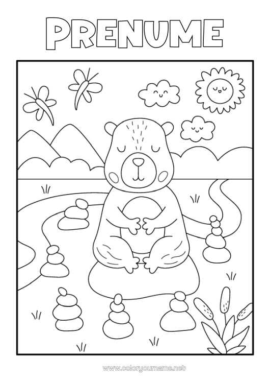 Pagină de colorat de imprimat Liniștit și zen Sport Animal Alte animale din lume Sporturi artistice Yoga Capibara