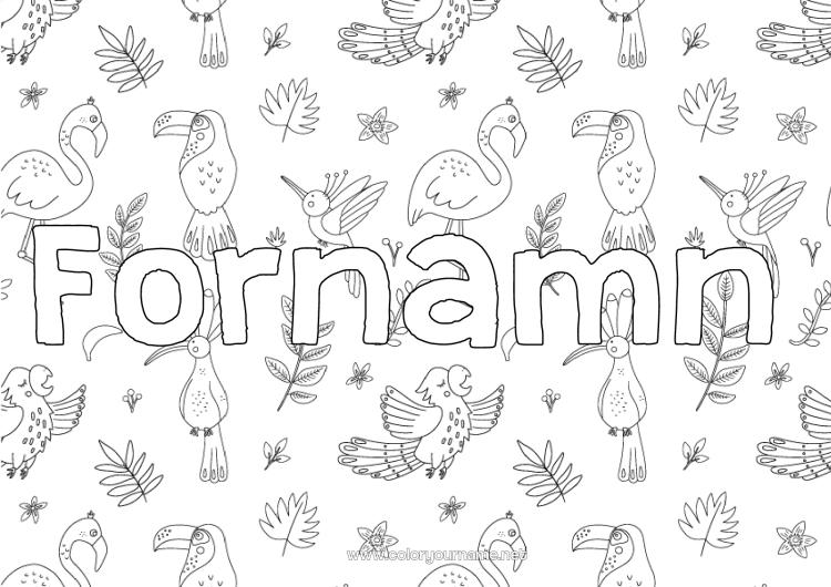 Färgläggningssida att skriva ut Djur Utsmyckat namn Tukan Flamingo Fåglar och flygande däggdjur Dekorativ bakgrund