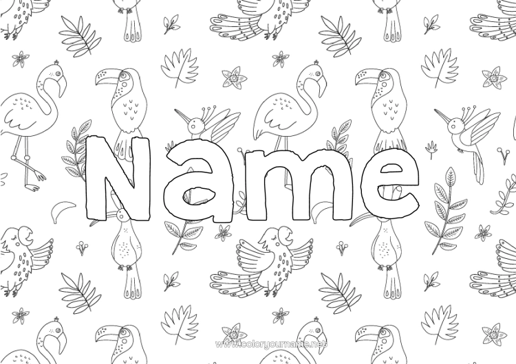 Coloring page to print Animal Decorated name Toucan Pink flamingo Flying birds and mammals Decorative background