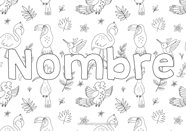 Dibujo para colorear para imprimir Animales Nombre decorado Tucán Flamenco rosa Aves y mamíferos voladores Fondo decorativo