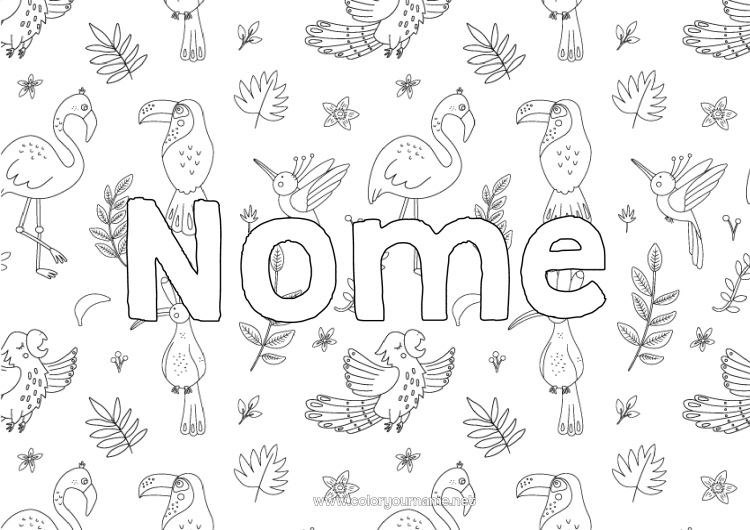 Pagina da colorare da stampare Animale Nome decorato Tucano Flamingo Uccelli e mammiferi volanti Sfondo decorativo