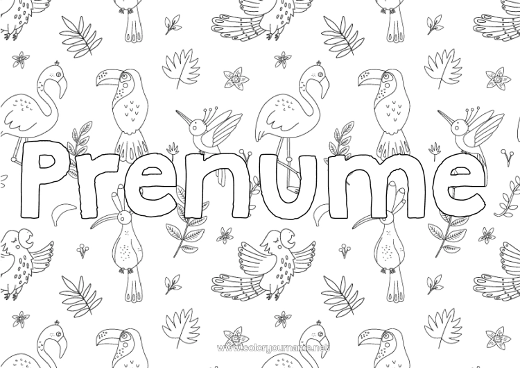 Pagină de colorat de imprimat Animal Nume decorat Tucan Flamingo roz Păsări și mamifere zburătoare Fundal decorativ