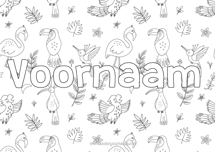 Kleurplaat om af te drukken Dier Gedecoreerde naam Toekan Flamingo Vogels en vliegende zoogdieren Decoratieve achtergrond