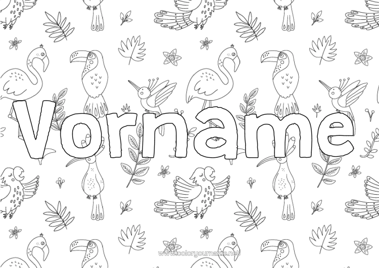 Malvorlage zum Ausdrucken Tier Dekorierter Name Tukan Flamingo Vögel und fliegende Säugetiere Dekorativer Hintergrund