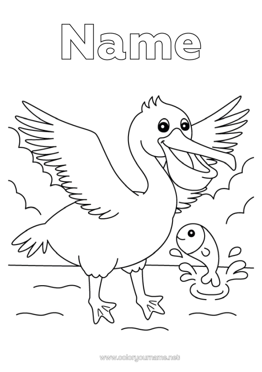 Colouring page to print Bird Animal Birds And Flying Mammals Pelican