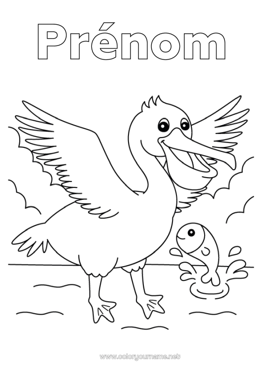 Coloriage à imprimer Oiseau Animal Oiseaux et mammifères volants Pélican