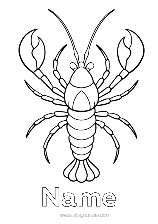 Coloring page to print Animal Marine or aquatic animals Lobster