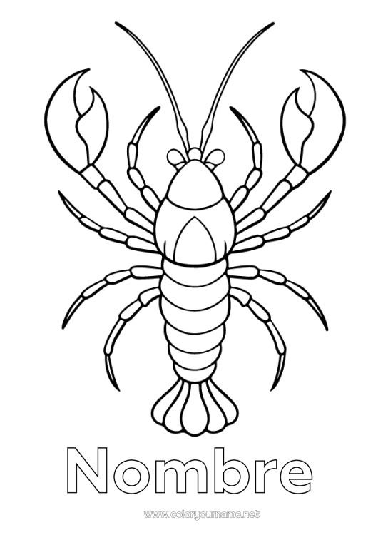 Dibujo para colorear para imprimir Animales Animales marinos o acuáticos Langosta