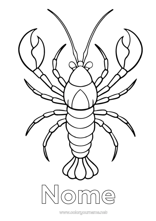 Pagina da colorare da stampare Animale Animali marini o acquatici Aragosta
