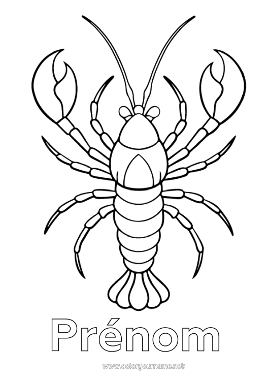 Coloriage à imprimer Animal Animaux marins ou aquatique Homard