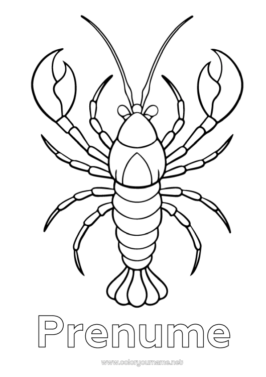 Pagină de colorat de imprimat Animal Animale marine sau acvatice Homar