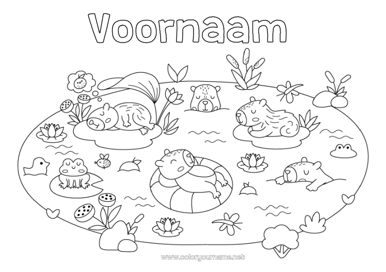 Kleurplaat om af te drukken Kikker Dier Zeedieren Andere dieren van de wereld Reddingsboei Capibara