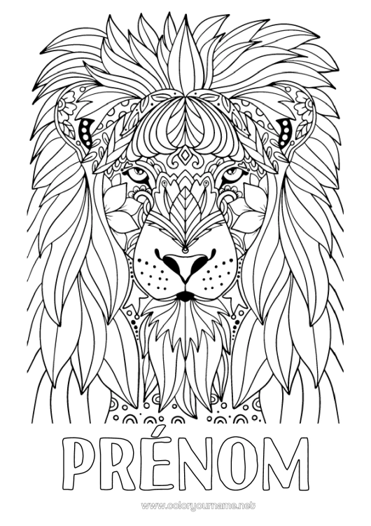 Coloriage à imprimer Lion Animal Coloriages complexes Animaux sauvages d'Afrique