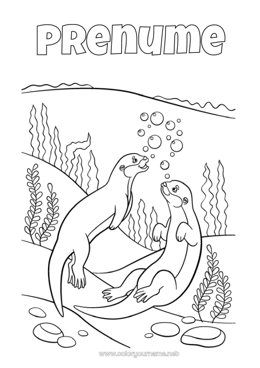 Pagină de colorat de imprimat Mare Animale marine sau acvatice Vidra