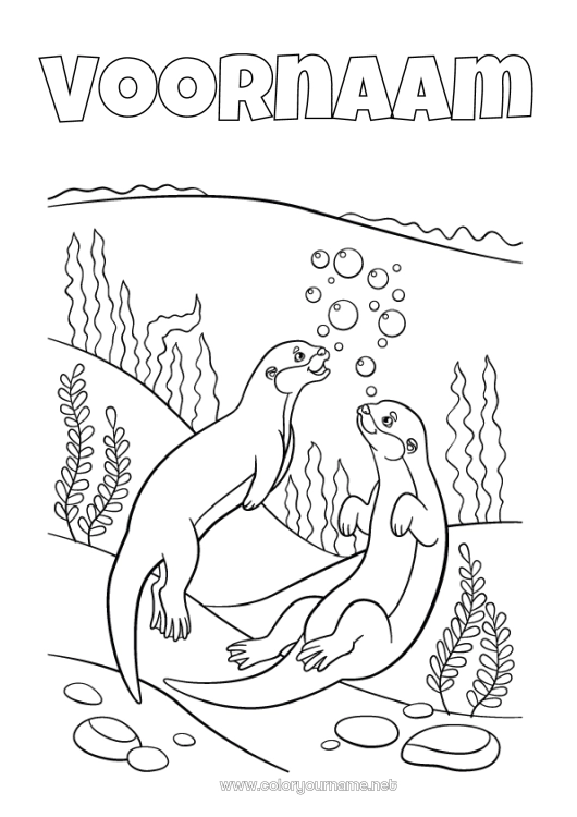 Kleurplaat om af te drukken Zee Zeedieren Otter